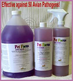 Mango Pet Focus - Disinfectant and Cage Cleaner - Bird Supplies - Glamorous Gouldians