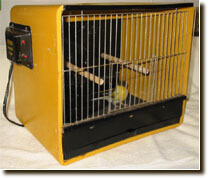 lady gouldian finch First Aid Kit