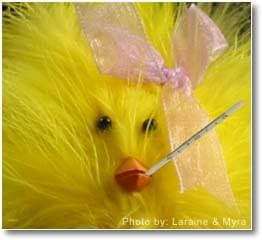 Bird Flu - Article and Information - Ladygouldianfinch.com