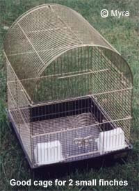 lady gouldian finch cage or Aviary? - Article on Housing