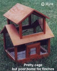 lady gouldian finch cage or aviary - Article on Housing