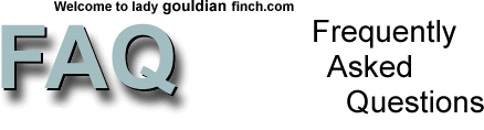 Frequently Asked Questions - Title - Article - Glamorous Gouldians