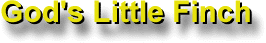 God's Little Finch - Title - Article - Ladygouldianfinch.com