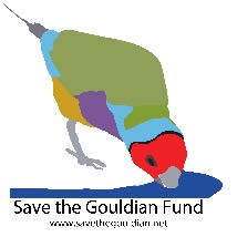 Save the Gouldian Fund - Mike Fidler - Lady Gouldian Finch