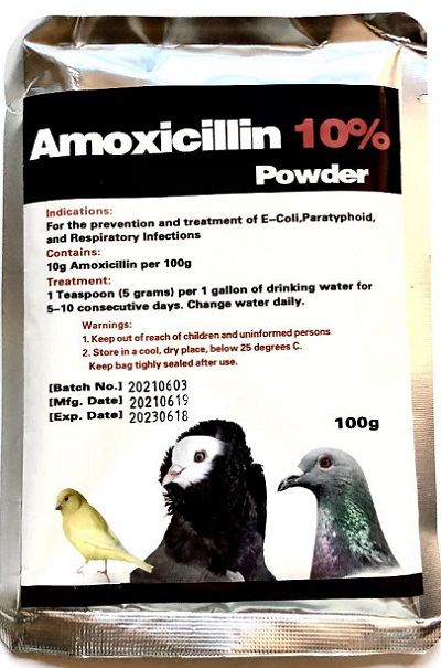 Amoxicillin 10% Generic Powder - broad spectrum antibiotic - Avian Medications - Glamorous Gouldians
