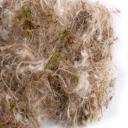 Sisalfibre AVM17-Mixed Nesting Material - Animal, Vegetable and Moss - Breeding Supplies - Glamorous Gouldians