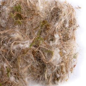 Animal, Vegetable and Moss - Mixed Nesting Materials - Sisal Fibre - Breeding Supplies
