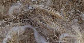 Antiseptic Coco, Sisal and Jute Nesting Material 