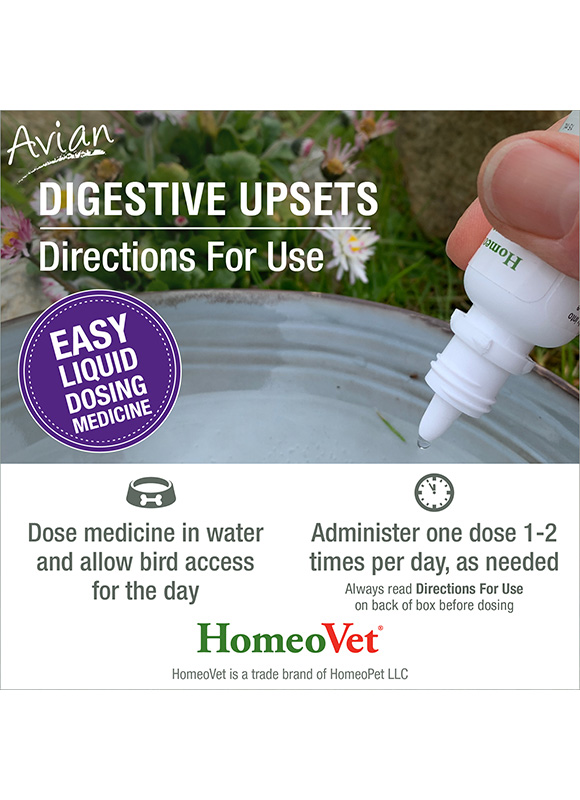 Homeopet - Avian Digestive Aid - Homeovet - Directions - Avian Medication - Natural Remedy 