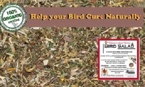 Avian Holistic Herbal Bird Salad - Organic and wildkrafted Herbs - Lady Gouldian Finch Supplies USA