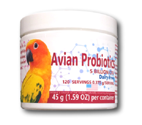 Avian Protiotics