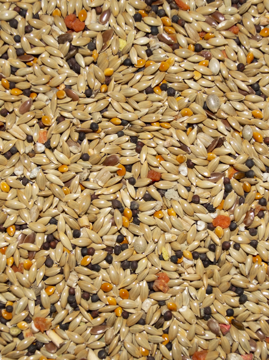 Volkman's Avian Science Super Canary - 4lb Bag - crafted to support the daily needs of canaries with a thoughtful blend of seeds, grains, eggfood, fruits, and vegetables. 
