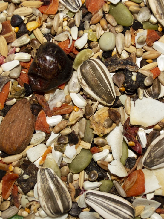 Volkman's Avian Science Electus - 4lb Bag -  upclose view