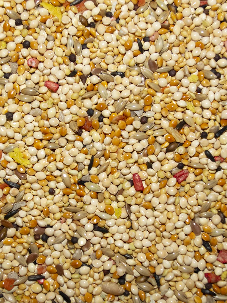 Volkman's Avian Science Super Finch - 4lb bag - INCLUDES VEGETABLES FOR MICRONUTRIENT VARIETY