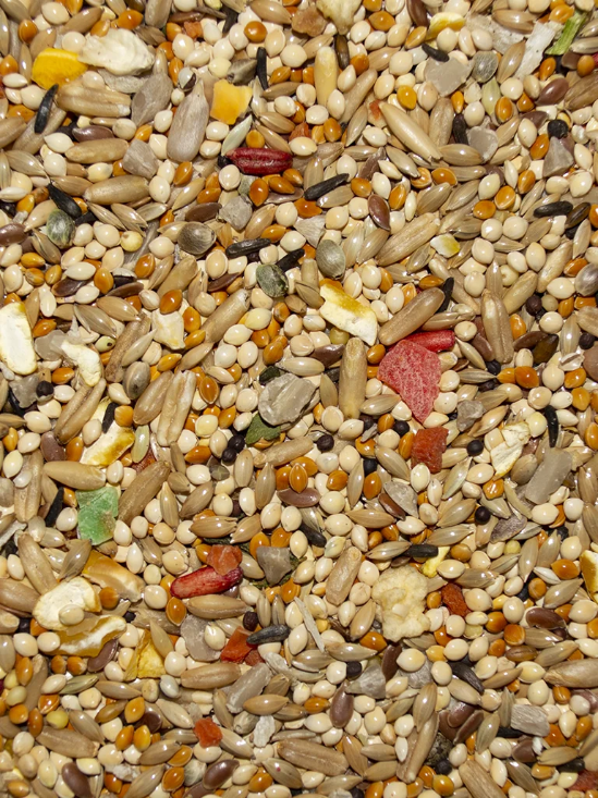 Volkman's Avian Science Super Parakeet 4lb bag formulated to support the daily energy needs of parakeets with a blend of millet, seeds, and grains suited to small hookbill birds.
