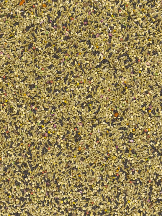 Volkman's Bird's Delight Canary Fortified Seed Mix - 20lb bag - Upclose View