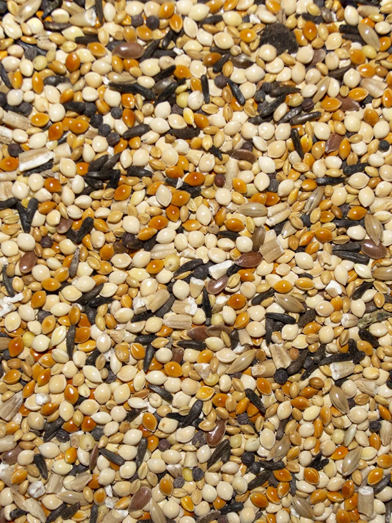 Bird’s Delight Finch Mix Fancy 20lb - volkmans-birds-delight-finch-20lb