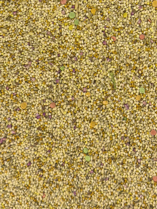 Bird’s Delight Parakeet Fortified 20lb - volkmans-birds-delight-parakeet-20lb
