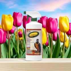 Mango Control RTU aviary Bug Spray - Do not spray on birds - Bird Supplies - Glamorous Gouldians