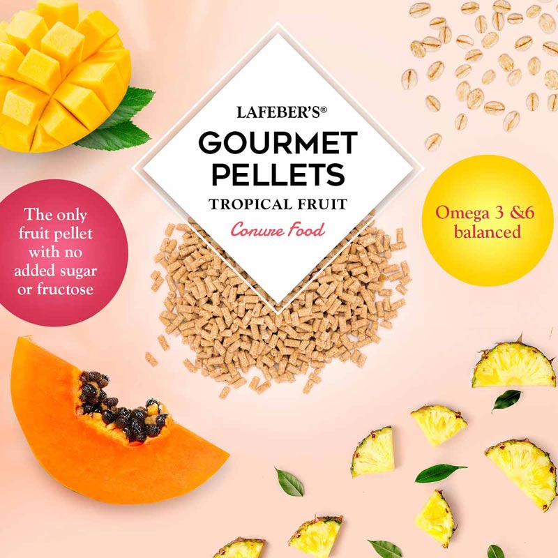 Lafeber Conure Tropical Fruit Pellets-only fruit pellet made exclusively with the natural taste of fruit-Non GMO Bird Food
