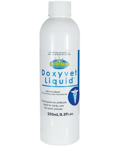 Vetafarm Products Doxyvet Antibiotic for caged birds great with lady gouldian finches, large size