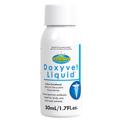 Doxyvet Liquid Antibiotic Liguid Doxycycline for birds, doxycycline for rats, doxycycline for cats, doxycycline, antibiotic for birds, sick bird, sick rat