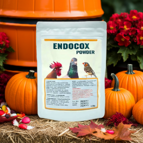 Endocox 2.5% - Generic Baycox - anticoccidial - In the drinking water - Parasitic - Avian Medication