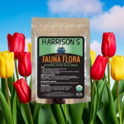 Harrisons Fauna Flora - Digestive Enzymes to help aid, helpful when handfeeding or ill birds - Glamorous Gouldians