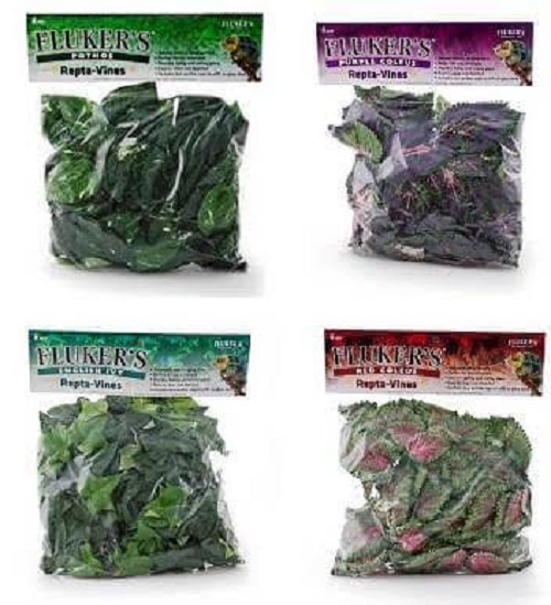 Vines for Bird Cages - Flukers Decorative Vines - Made for chewing - Bird Cage Accessory - Glamorous Gouldians