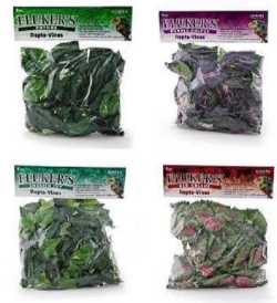 Vines for Bird Cages - Flukers Decorative Vines - Made for chewing - Bird Cage Accessory - Glamorous Gouldians