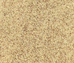 Lady Gouldian Finch Austerity Blend-Custom Seed Mix-Lady Gouldian Finch Supplies USA-Glamorous Gouldians