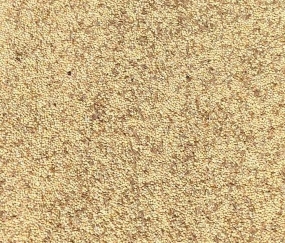 Gouldian Finch Austerity Blend - Low Fat Minimal nutrition