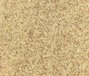 Gouldian Finch Austerity Blend - Low Fat Minimal nutrition to reset gonads before setting up to breed 