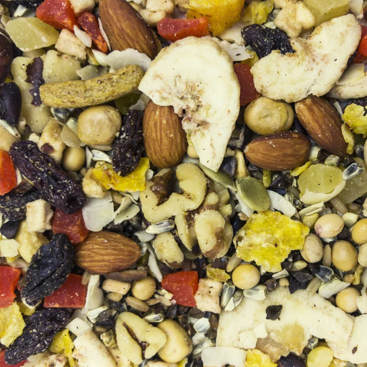 Higgins Sunburst Fruit To Nuts-CloseUp-Fruits, Nuts and Seed Treat-Bird Food-Glamorous Gouldians