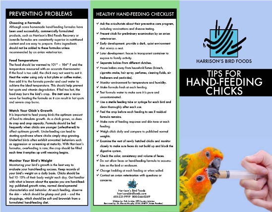 Harrison's Juvenile Hand Feeding Formula Hand Feeding Brochure - page 1