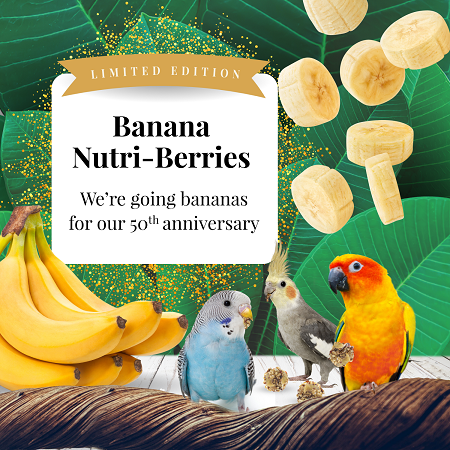 Lafeber LIMITED EDITION Banana Nutri-Berries for Small Birds-Nutritionally complete bird food-Glamorous Gouldians