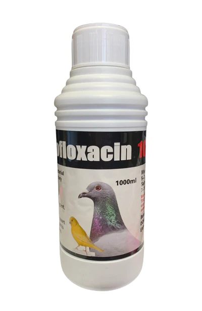 Liguid Enrolfoxacin 10% Avian Medication - Broad Spectrum Antibiotic - Glamorous Gouldians