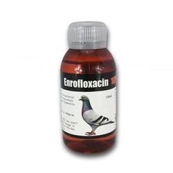 Liquid Enrofloxacin 10% Liquid - Generic Baytril baytril for birds, baytril for finch, baytril for canary, sick bird, antibiotic for bird