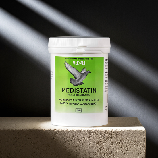 MedPet Medistatin - Antifungal - Avian Medication - Lady Gouldian Finch Supplies USA - Glamorous Gouldians