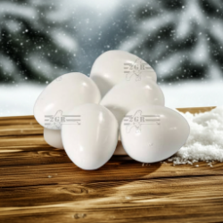 2gr art304 Medium Plastic Fake Eggs for breeding Parakeets, Bird Breeding Supplies, Breeding Accessory