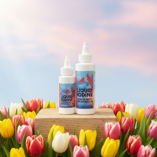 Morning Bird Products Liquid Iodine Supplement for cage Birds - Lady Gouldian Finch Supplies USA - 2 and 4oz bottle
