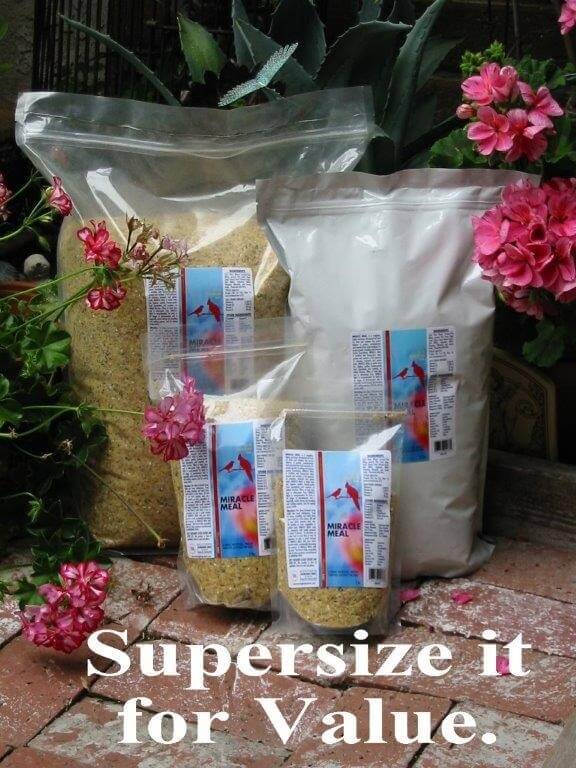 Morning Bird Miracle Meal - Lady gouldian finch softfood - Lady Gouldian Finch Supplies USA - Glamorous Gouldians
