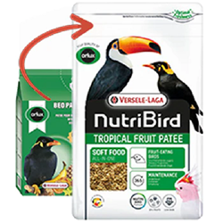 Orlux Tropical Fruit Patee Orlux, Versele Laga, Beo Pate, tropical fruit patee, frugivore foods, Fruits for birds, fruit and insects for birds, bird food, bird supplies