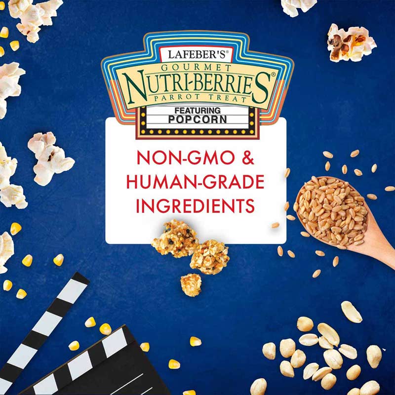 Lafeber Parrot Popcorn Nutriberries - non-GMO, human-grade ingredients - Glamorous Gouldians
