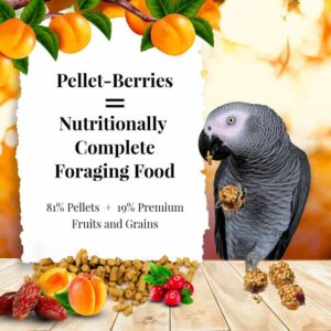 Lafeber Sunny Orchard Pellet-Berries - Parrots - Non GMO - Lady Gouldian Finch Supplies - Glamorous Gouldians