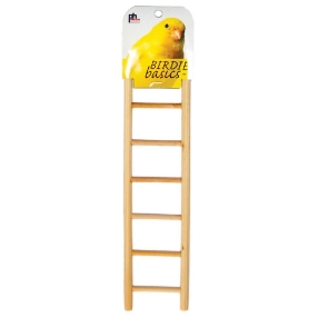 Prevue Pets pine ladders in 5 sizes, nice for fledglings and older birds to climb - Finch and Canary Cage Accessories 