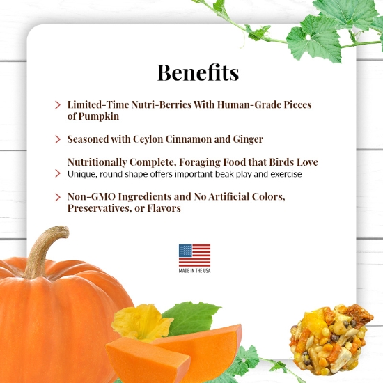 LIMITED EDITION Pumpkin Spice Nutri-Berries for Small Birds - Lafeber's - Benefits