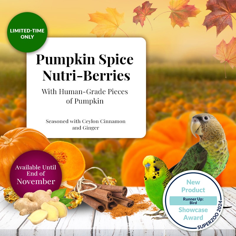 LIMITED EDITION Pumpkin Spice Nutri-Berries for Small Birds - Lafeber's - Promo