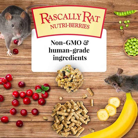 Rascally Rat Nutri-Berries-Pelleted Food for Mice And Rats-Lady Gouldian finch Supplies USA-Glamorous Gouldians