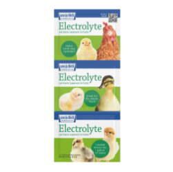 Sav-A-Chick Electrolyte and Vitamin Packages - Helps bird stay hydrated - Avian Support Supplement - Glamorous Gouldians